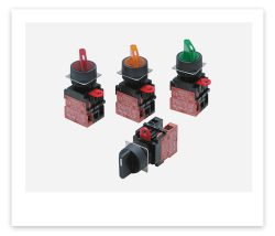 Ormon Push Button A22 Series