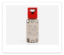 Omron Safety-door Switch D4BS Series