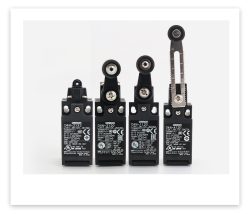 Ormon Safety Limit Switches D4N Series
